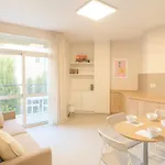 Smart Budget Edition - Cozy * Golem (Tirana)